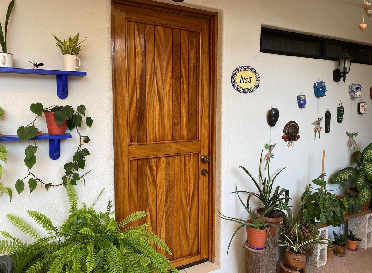 Zandoyo Bed & Breakfast Puerto Escondido  Exteriér fotografie